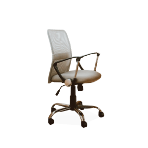 Beige Working Chair With Armrest