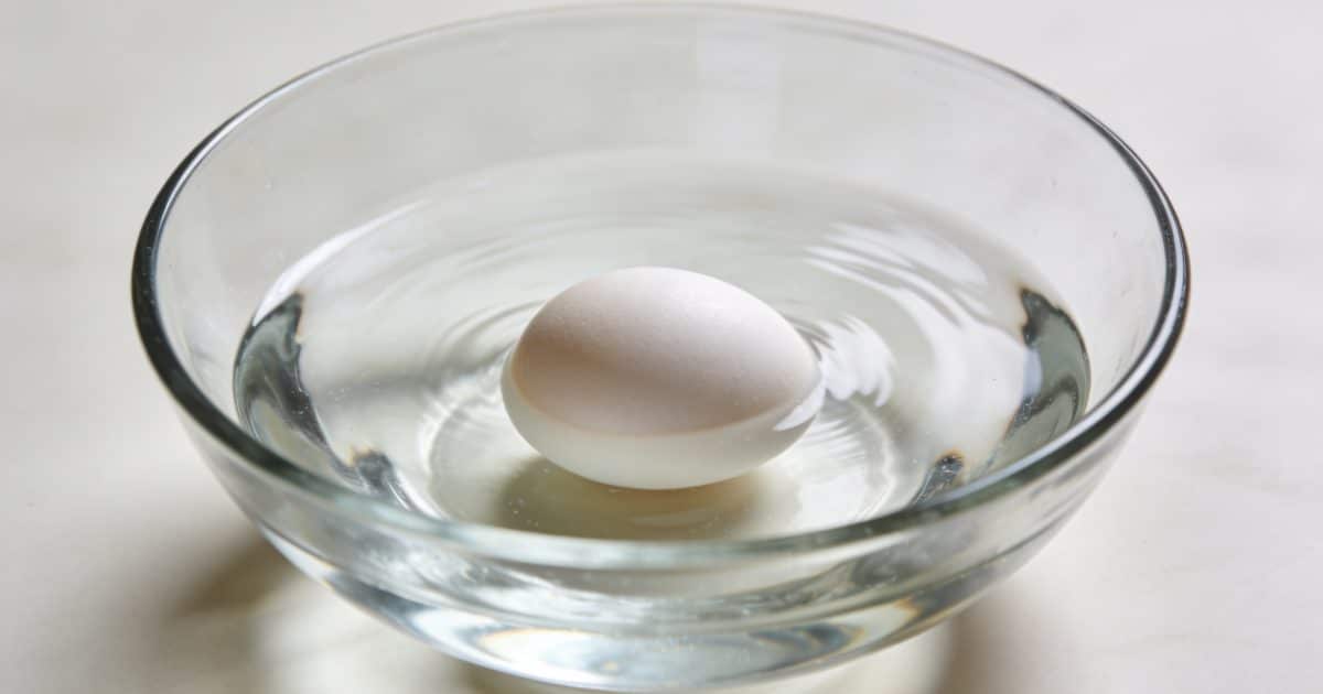 Bol transparent avec oeuf flottant dans eau