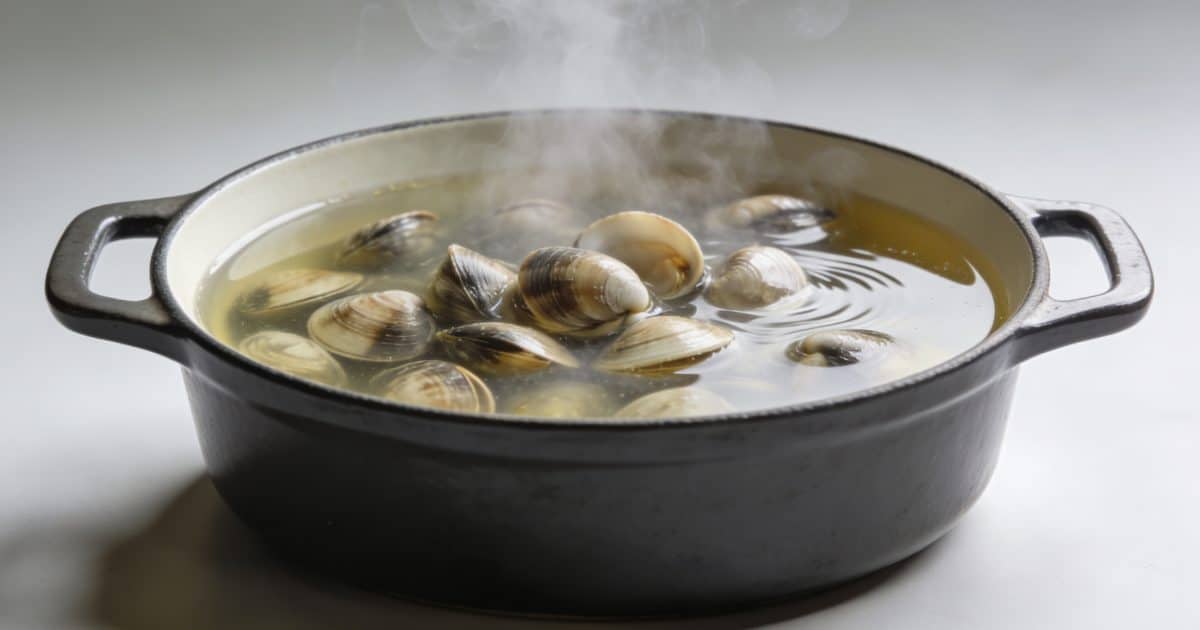 Casserole fumante avec bulots immerges dans court bouillon