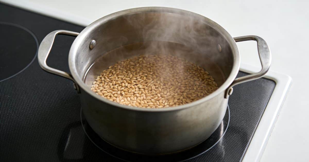 Casserole en metal cuisant petit epeautre fumant