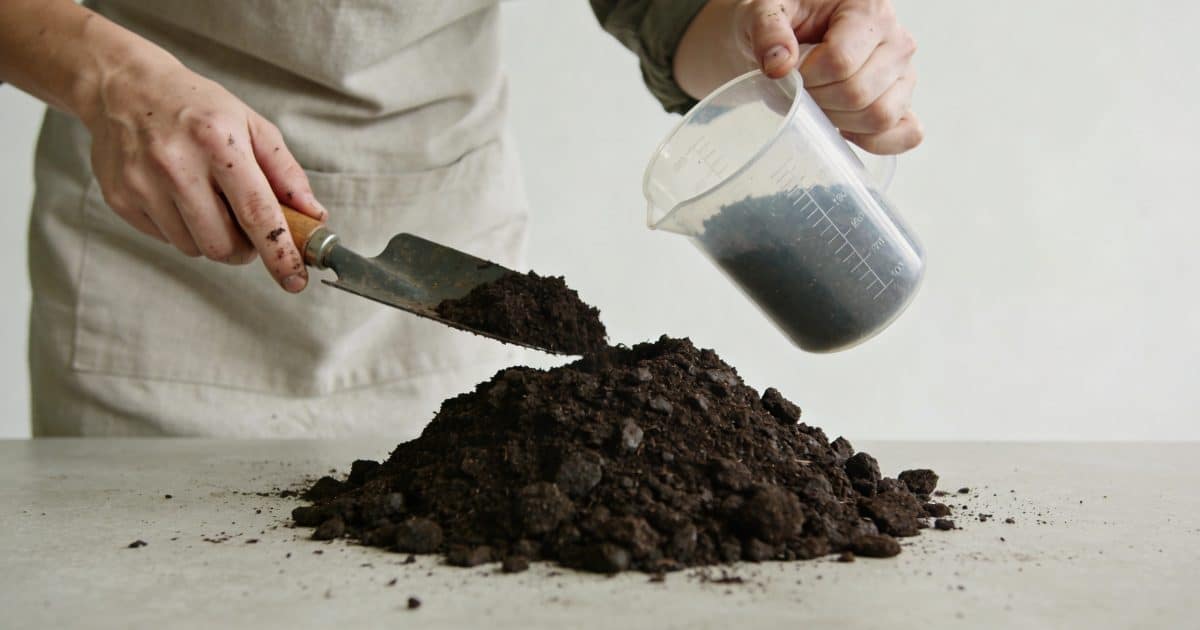 Jardinier mesure tas de terreau avec seau