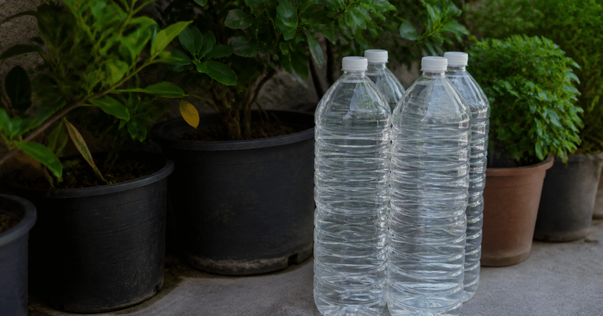 Bouteilles remplies d'eau posees pres de plantes en pot