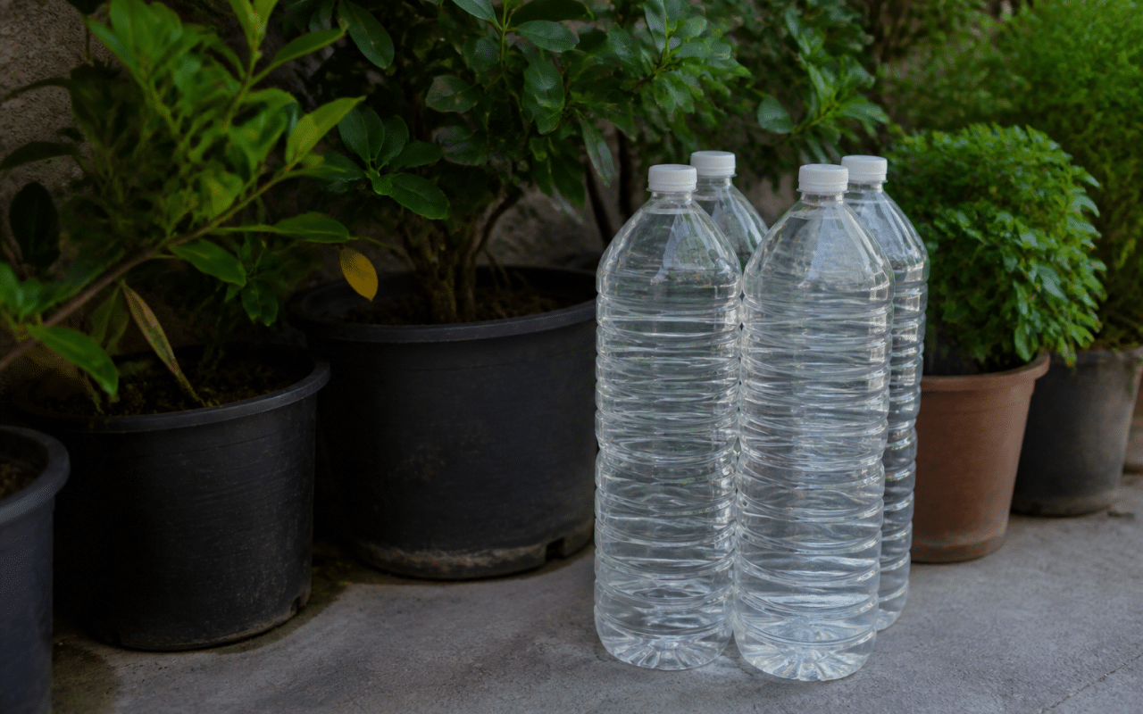 Bouteilles remplies d'eau posees pres de plantes en pot